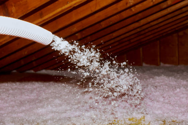Best Professional Insulation Contractor  in Lakeside, FL