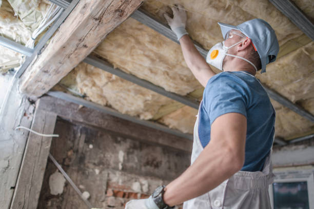 Best Local Insulation Services  in Lakeside, FL