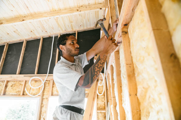 Best Insulation Repair Services  in Lakeside, FL
